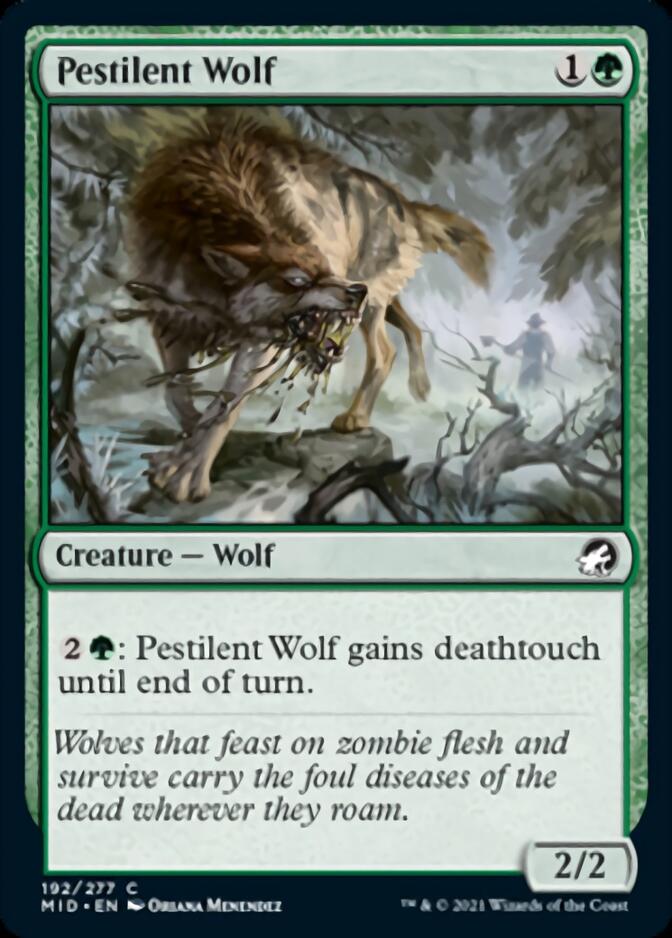 Pestilent Wolf [Innistrad: Midnight Hunt] Magic: The Gathering