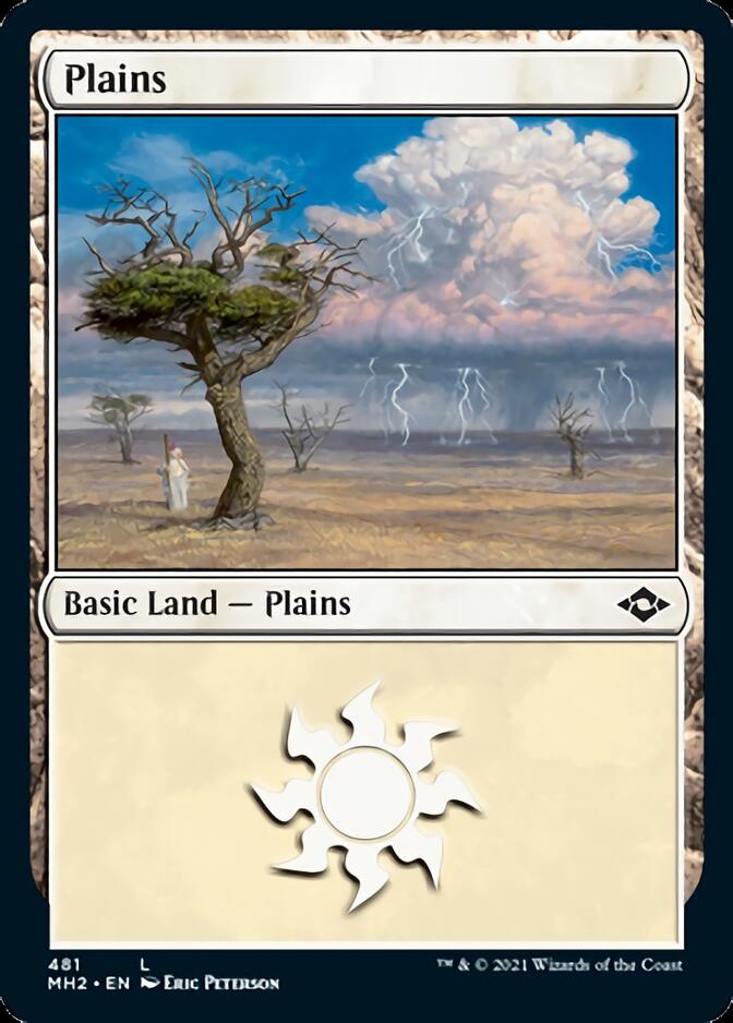 Plains (481) (Foil Etched) [Modern Horizons 2] Magic: The Gathering