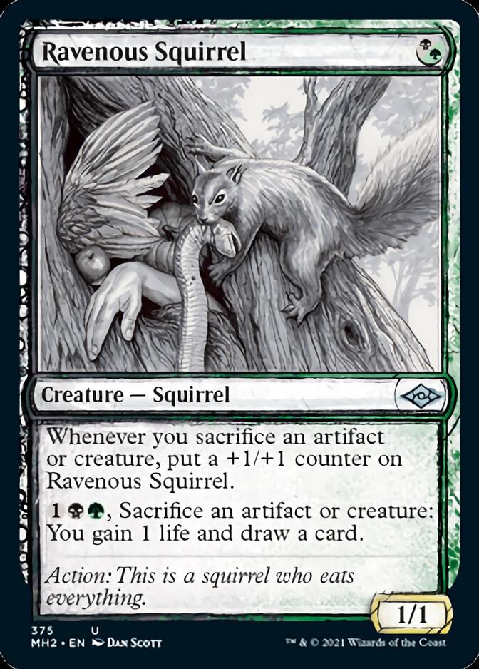 Ravenous Squirrel (Sketch) [Modern Horizons 2] Magic: The Gathering