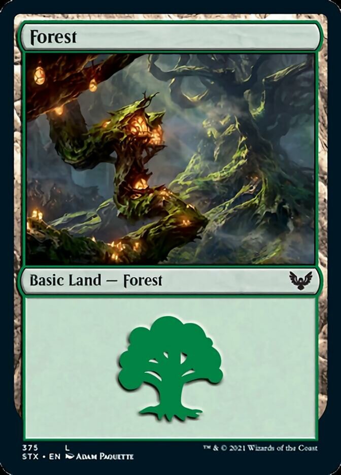 Forest (375) [Strixhaven: School of Mages] Magic: The Gathering