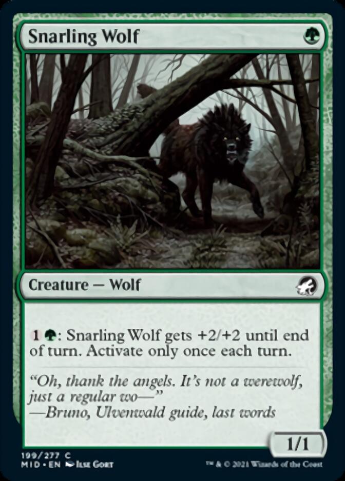 Snarling Wolf [Innistrad: Midnight Hunt] Magic: The Gathering